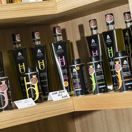 Hotell Mas De Boudan 4*